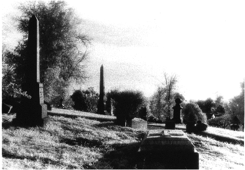 PillarScene